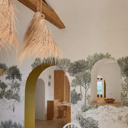 Feet In The Water, 100 M From The Center *